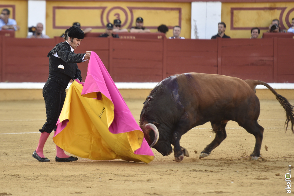 Toros San Juan 2017 4