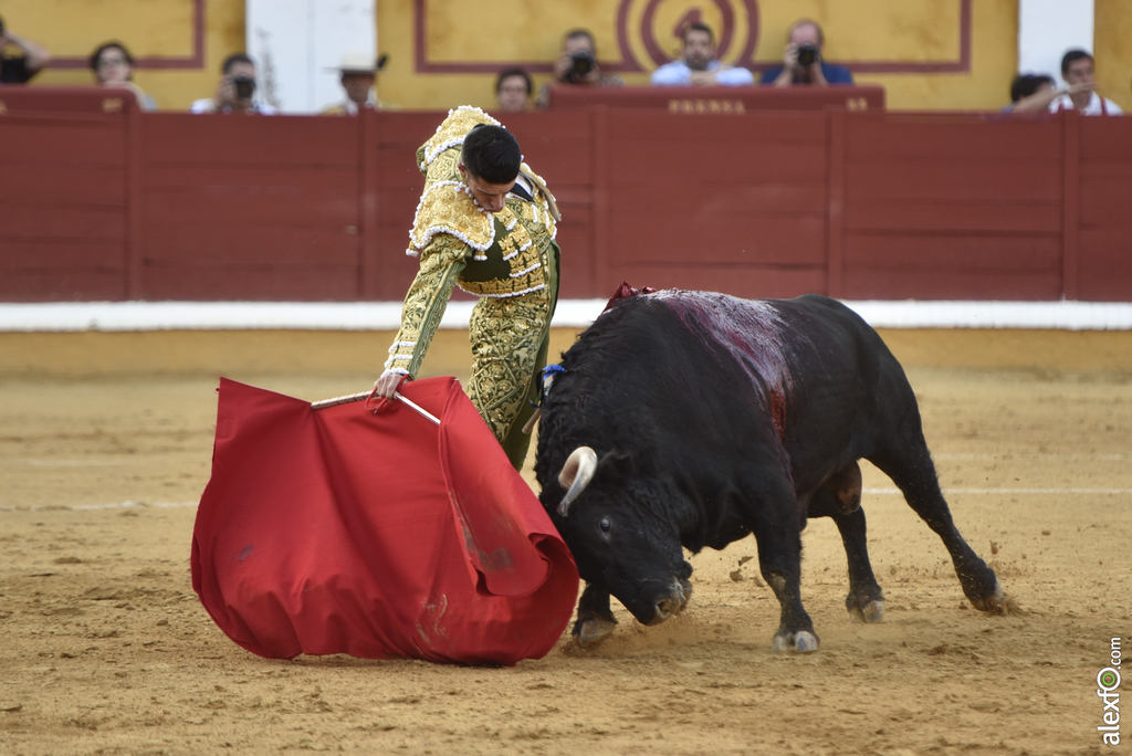 Toros San Juan 2017 13