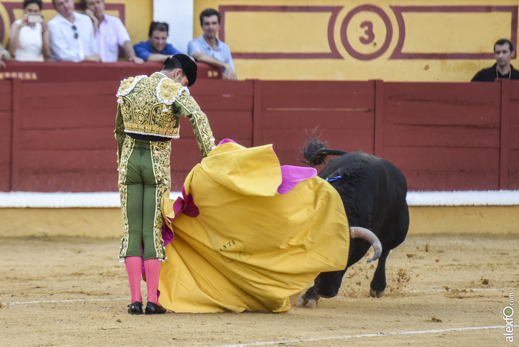 Toros San Juan 2017 6