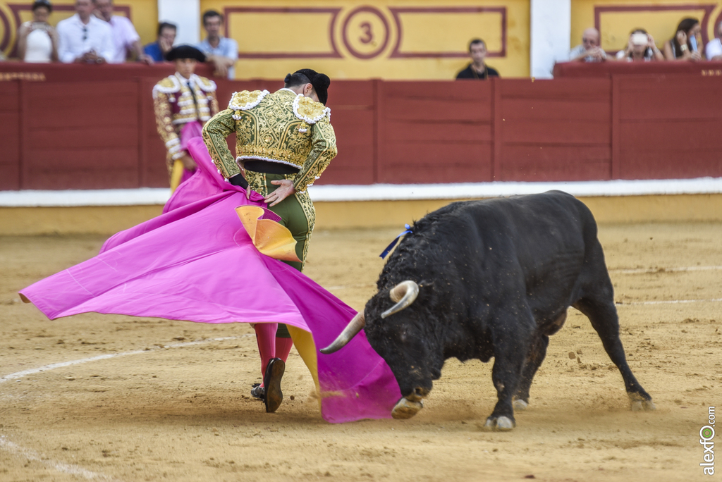 Toros San Juan 2017 8