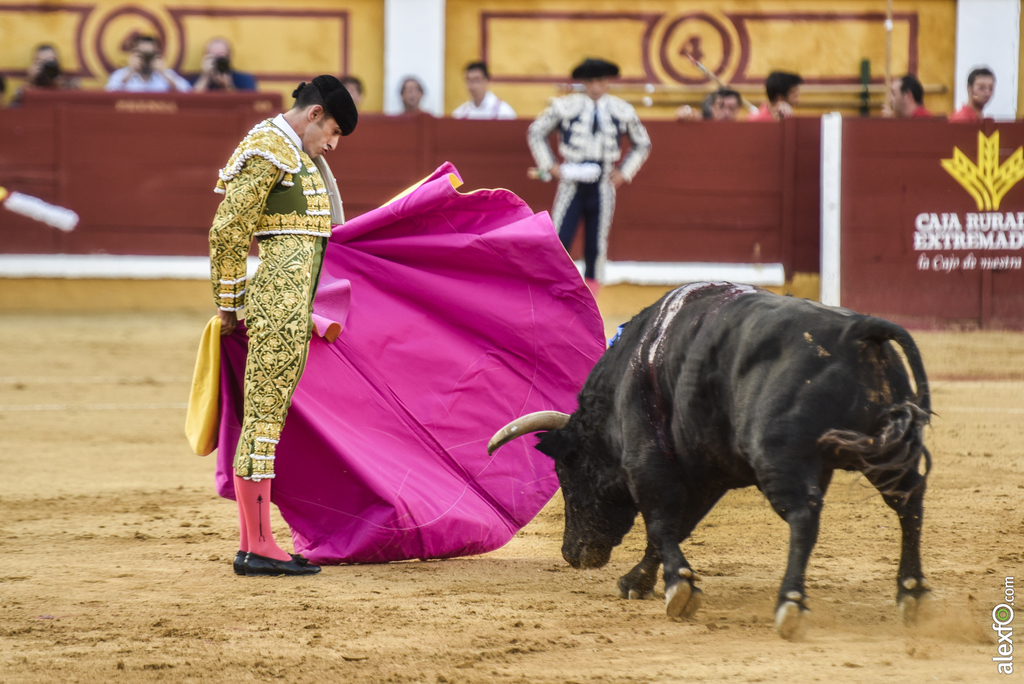 Toros San Juan 2017 9