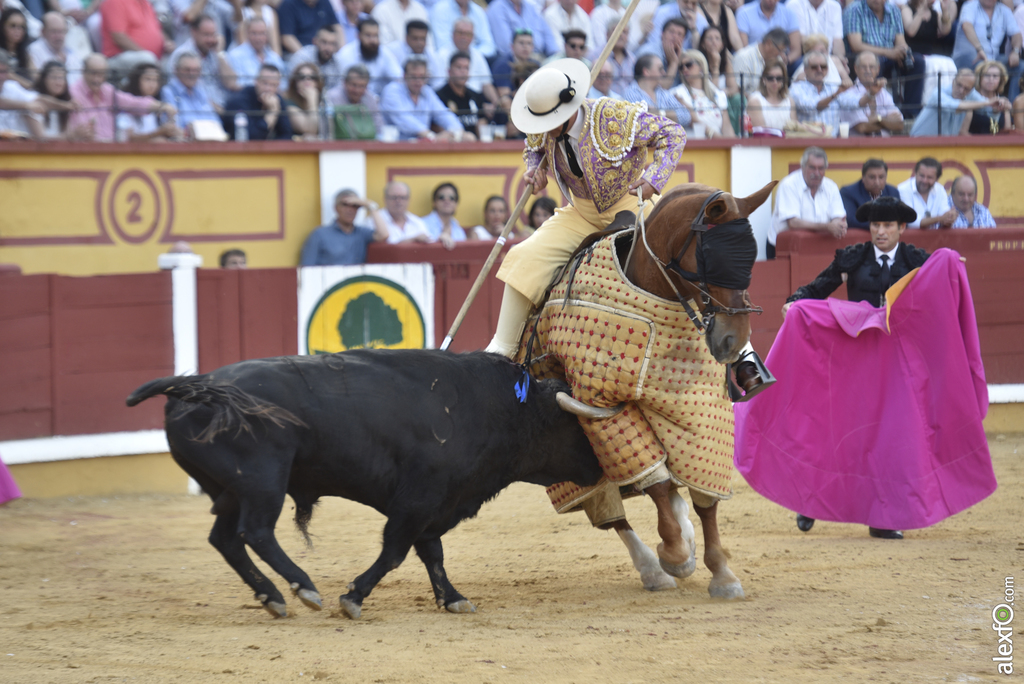 Toros San Juan 2017 15