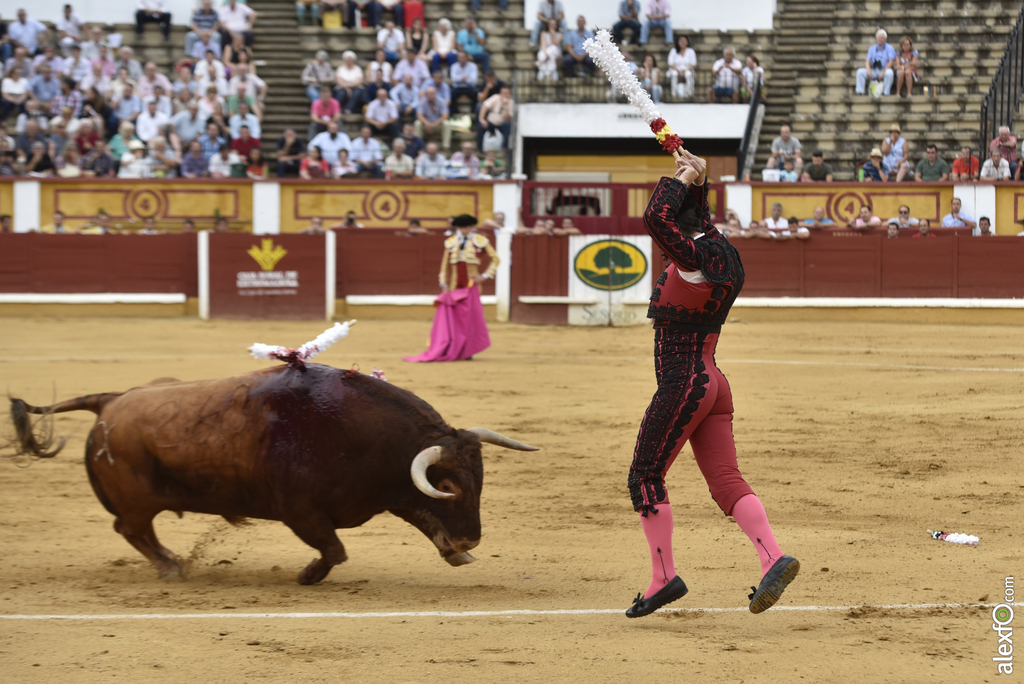 Toros San Juan 12