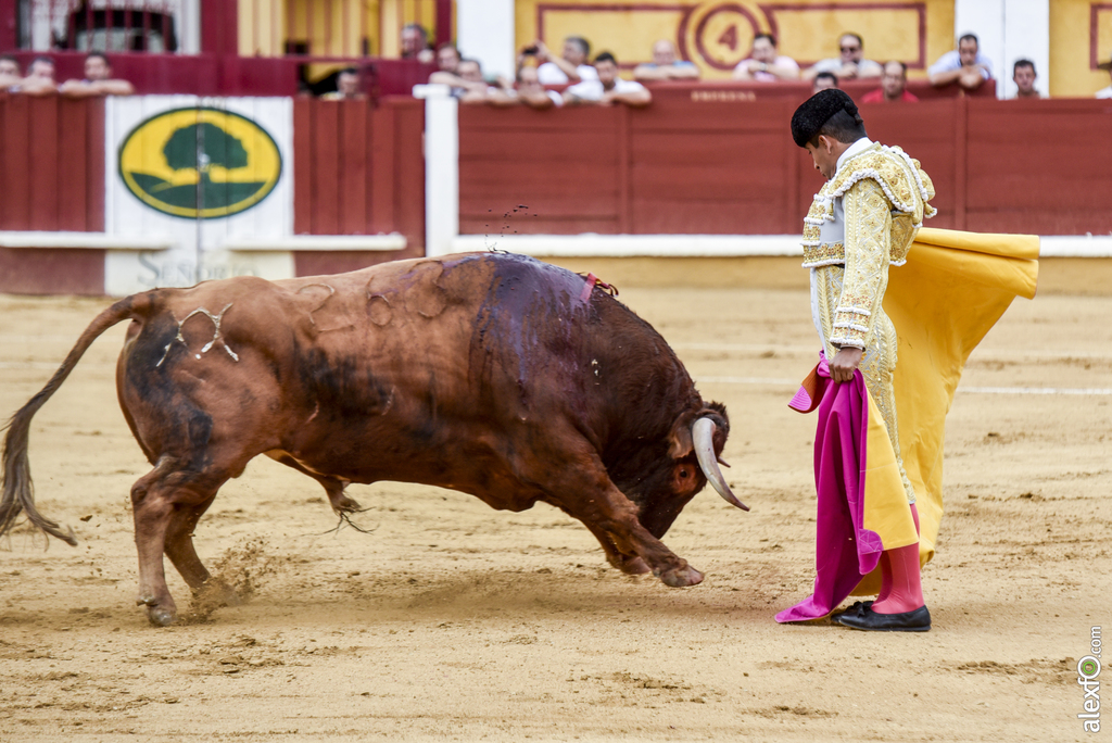 Toros San Juan 2