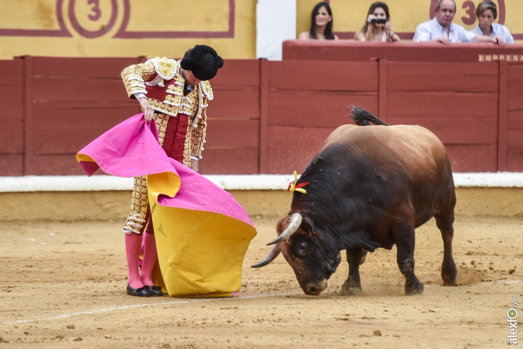 Toros San Juan 4