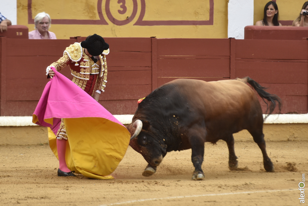 Toros San Juan 13