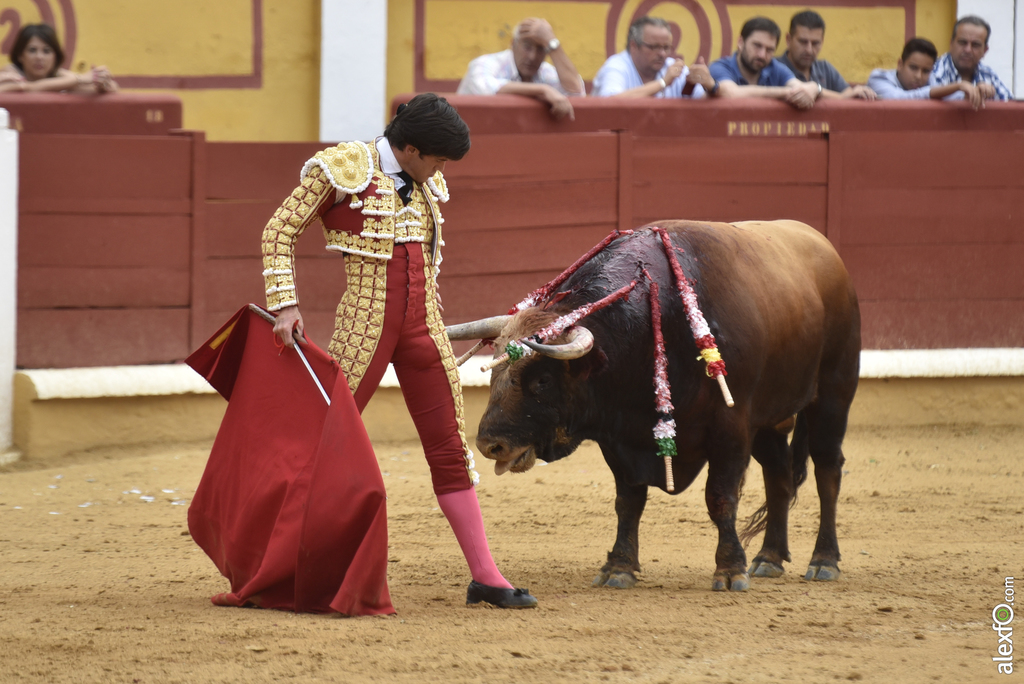 Toros San Juan 14