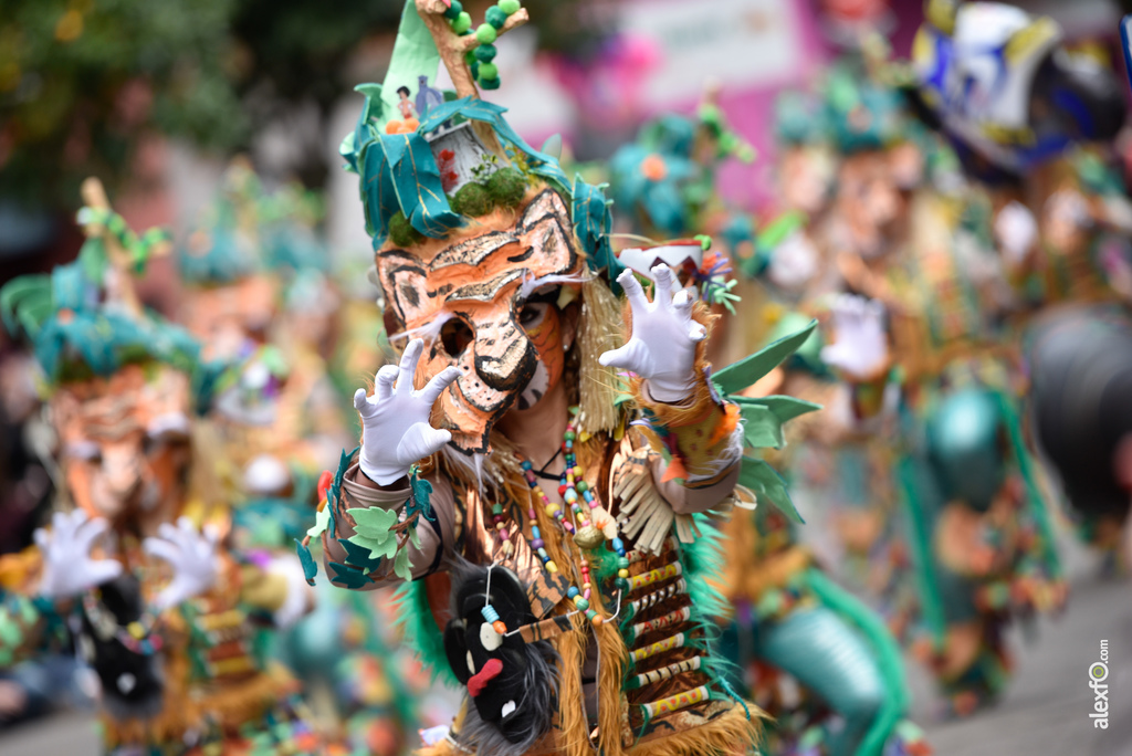 Comparsa La Movida - Desfile de Comparsas Carnaval de Badajoz 2018