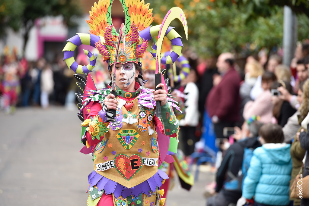 Comparsa Pio-Pio - Desfile de Comparsas Carnaval de Badajoz 2018