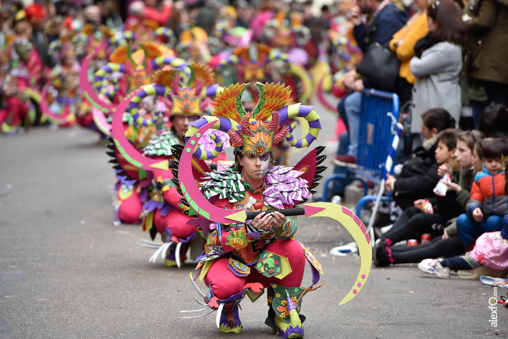 Comparsa Pio-Pio - Desfile de Comparsas Carnaval de Badajoz 2018