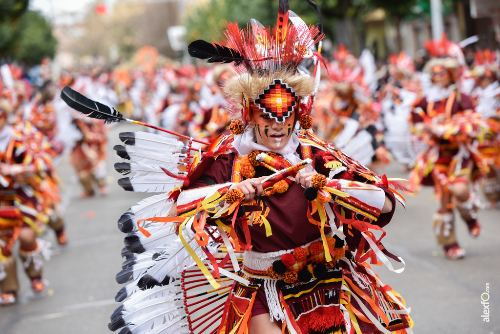 Comparsa Infectos Acelerados - Desfile de Comparsas Carnaval de Badajoz 2018