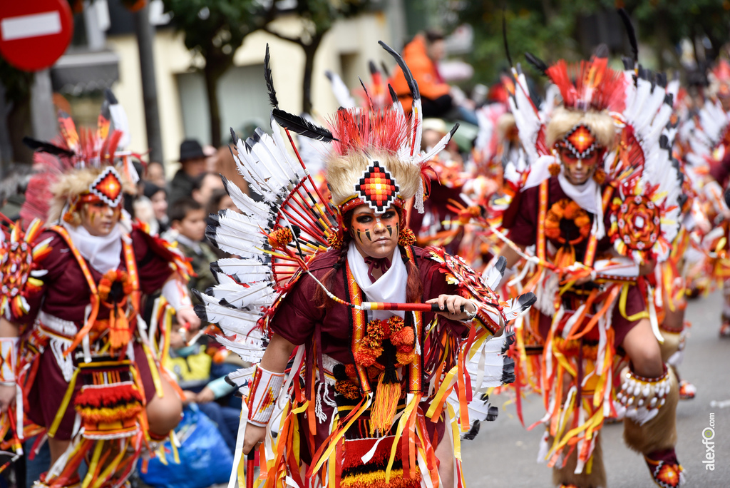 Comparsa Infectos Acelerados - Desfile de Comparsas Carnaval de Badajoz 2018