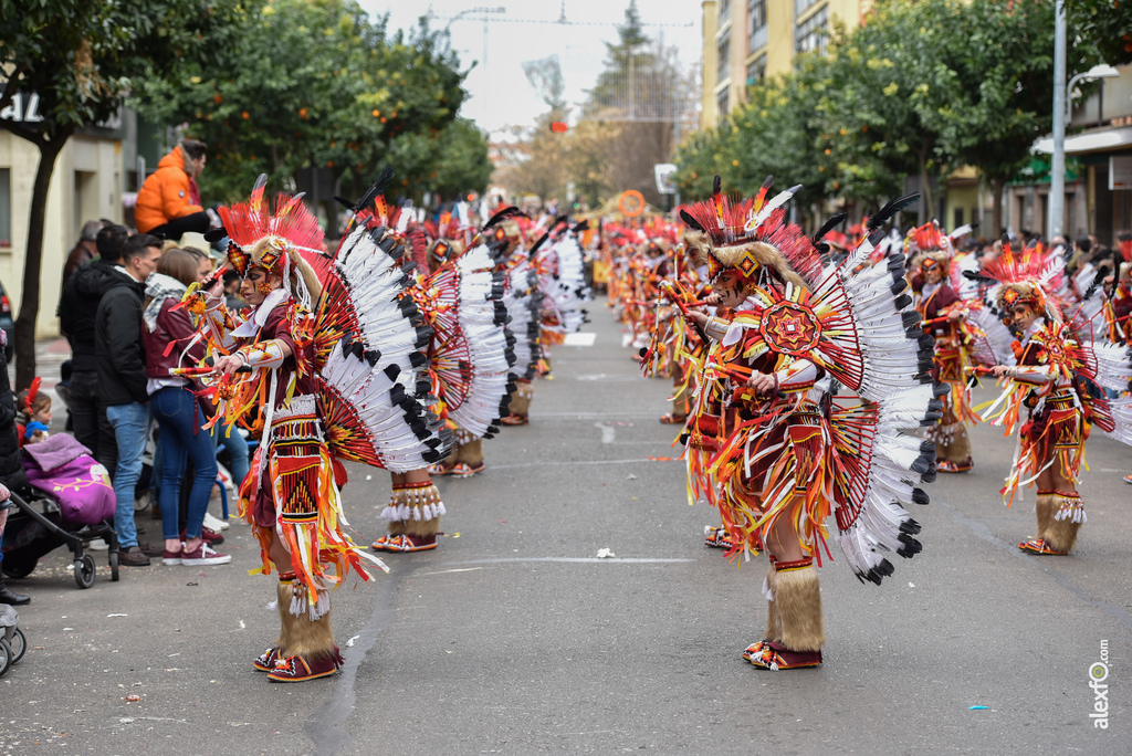 Comparsa Infectos Acelerados - Desfile de Comparsas Carnaval de Badajoz 2018