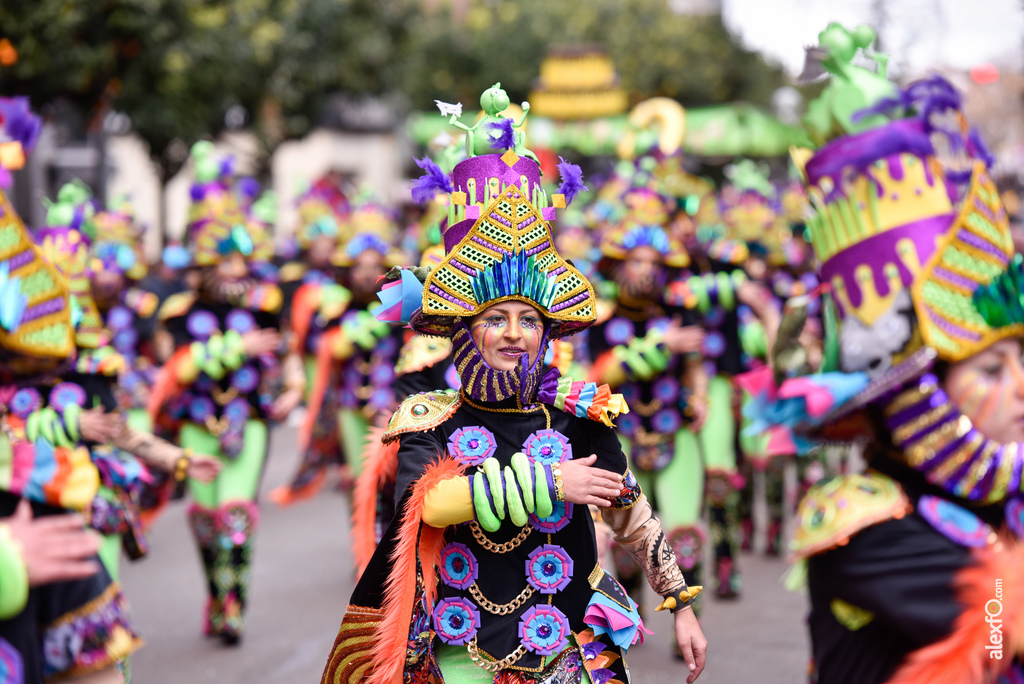 Comparsa Yuyubas - Desfile de Comparsas Carnaval de Badajoz 2018