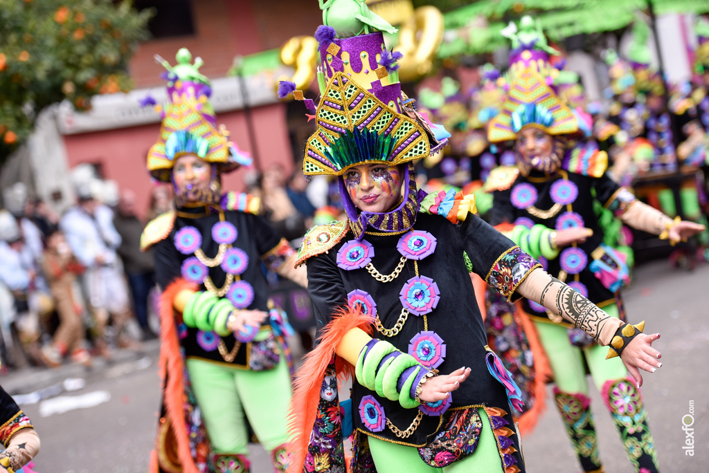 Comparsa Yuyubas - Desfile de Comparsas Carnaval de Badajoz 2018