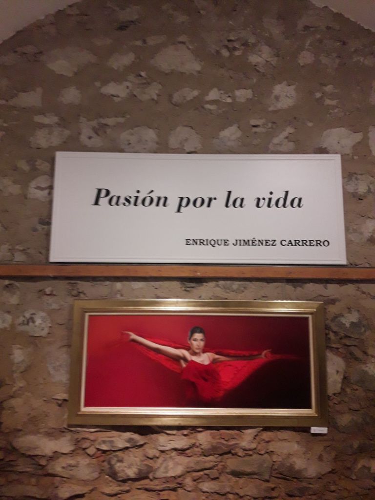 Entrada a la exposición