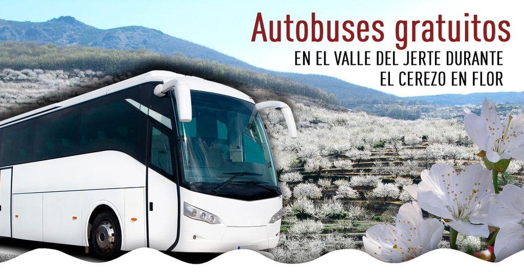 autobuses gratuitos