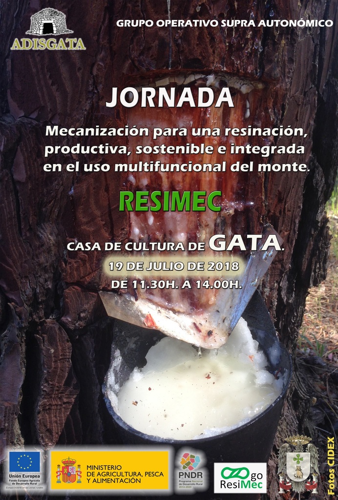 Cartel Jornada RESIMEC Menor Resolución