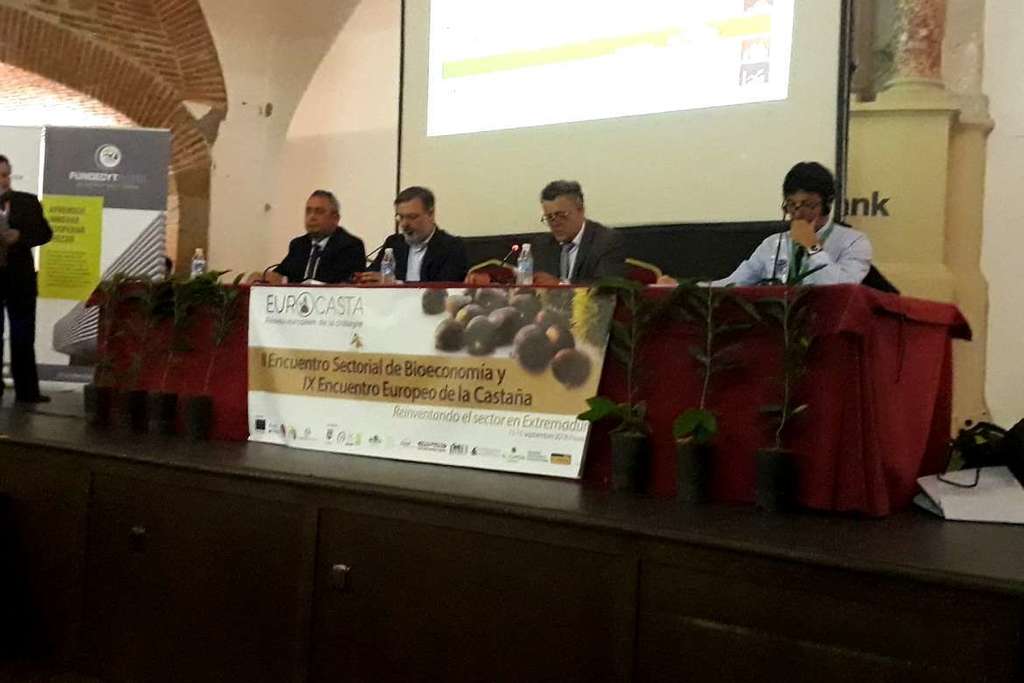 Más de 200 productores e investigadores se dan cita en ‘Eurocasta 2018’ para abordar nuevas técnicas sostenibles de cultivo del castaño