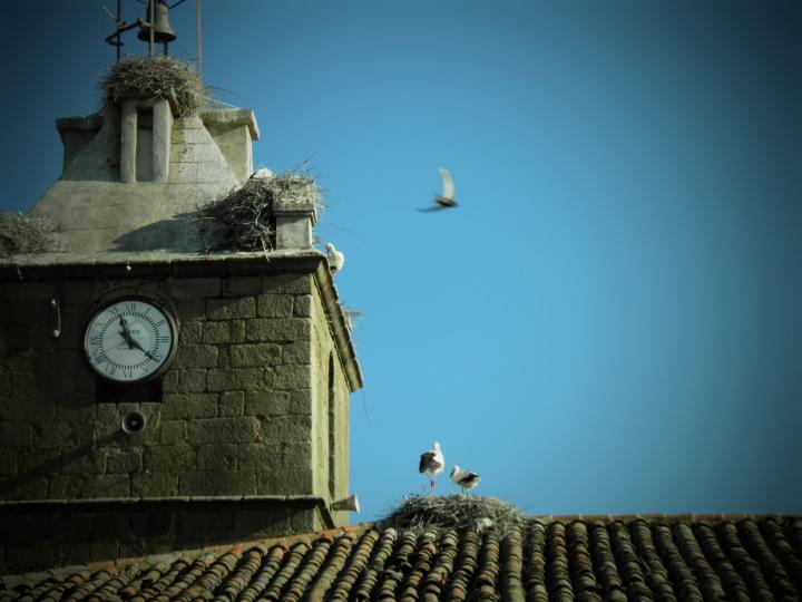 Peraleda de San Román, Cáceres.