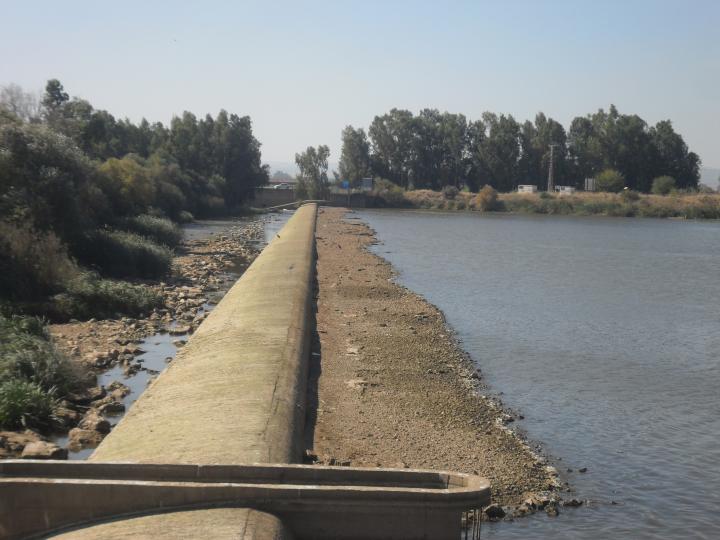 A orillas del Guadiana