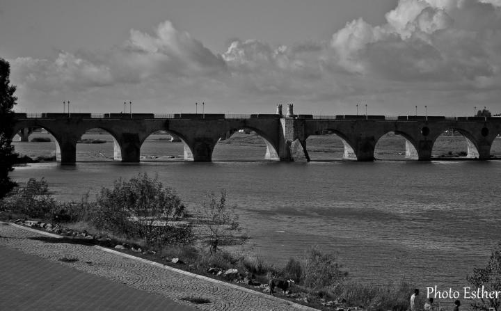 Puente de Palmas, Badajoz, Badajoz.