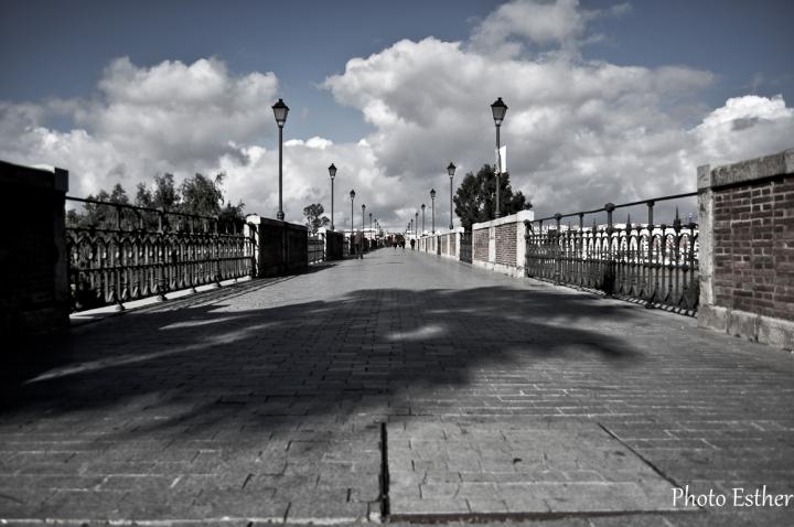 Puente de Palmas, Badajoz, Badajoz.