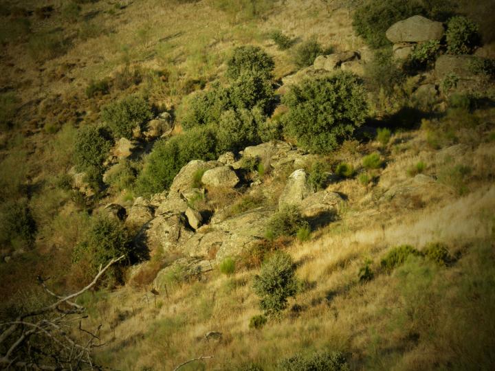 Alrederores, Embalse de Valdecañas