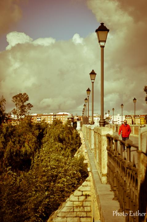 Puente de Palmas, Badajoz, Badajoz.