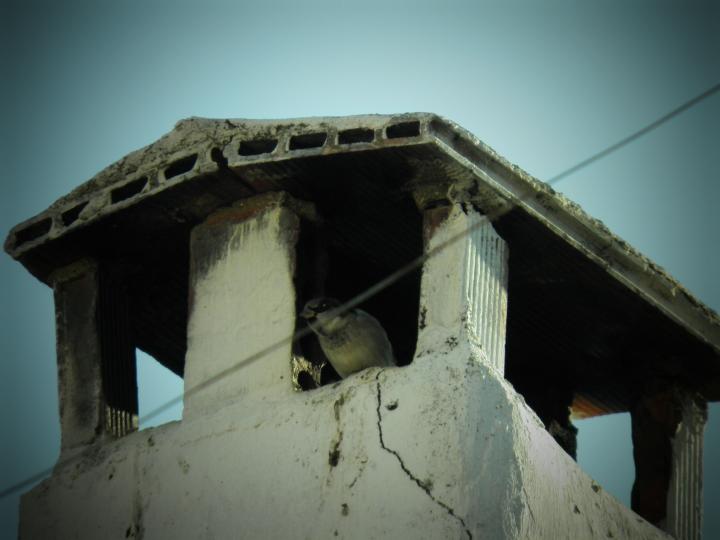 Peraleda de San Román, Cáceres.