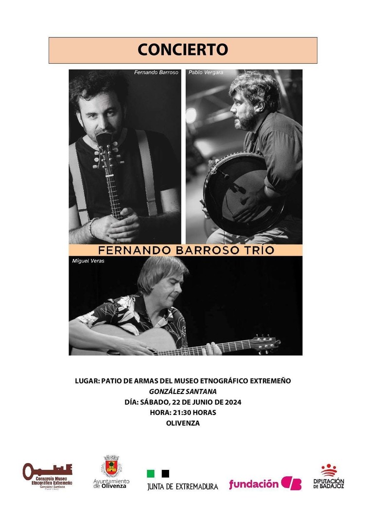 'Fernando Barroso Trío' en concierto