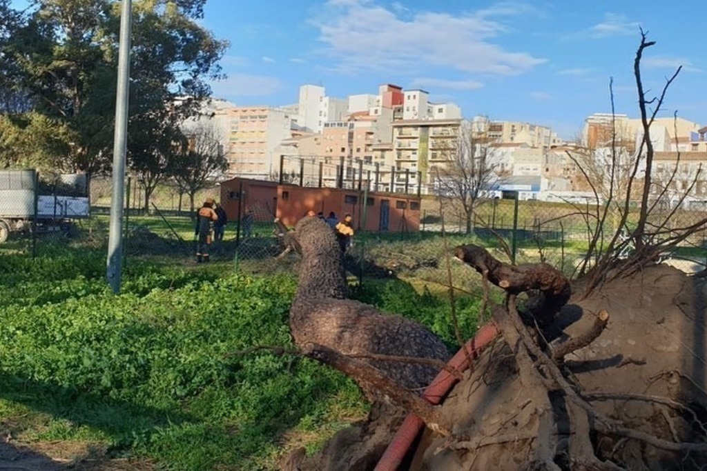 El Centro 112 Extremadura ha gestionado este domingo 68 incidentes relacionados con la borrasca Bernard