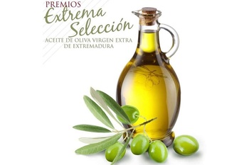 Agricultura convoca la XXIII edición de la Cata-Concurso de aceites de oliva virgen extra ‘Extrema Selección 2022’