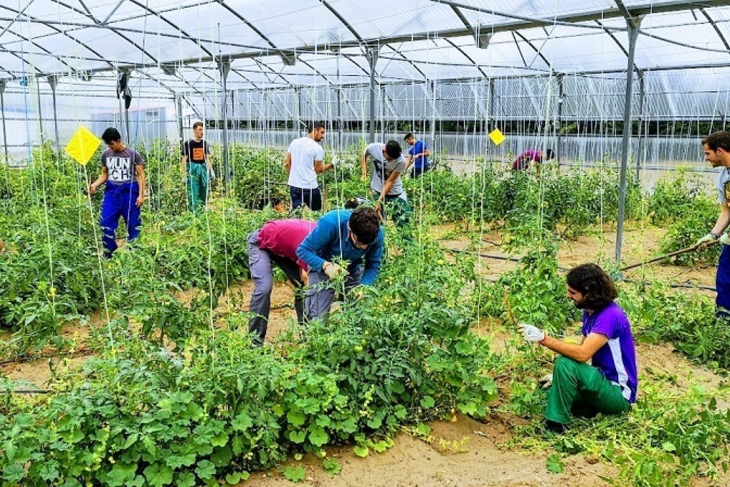 La Consejería de Agricultura destina 19,4 millones de los fondos Next Generation EU a ayudas para la modernización de explotaciones agrarias