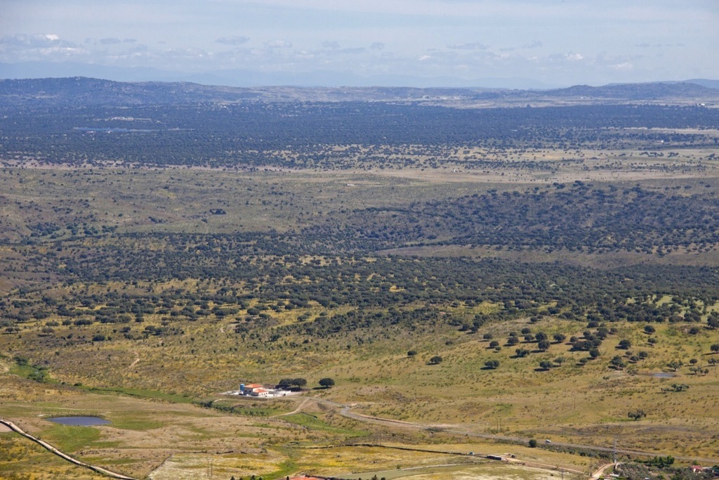 La Junta Rectora de la Zona de Interés Regional Llanos de Cáceres y Sierra de Fuentes aborda los informes de gestión de ese entorno, censos y estudios realizados