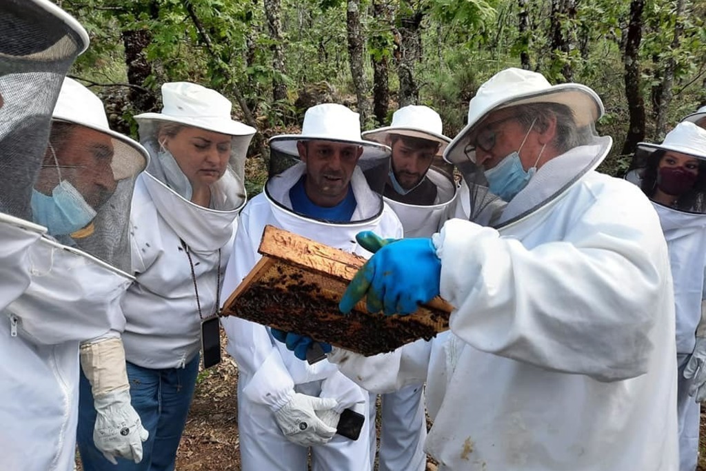 Pinofranqueado acogerá el 15 y 16 de febrero las Jornadas Técnicas del Día del Apicultor organizadas por Desarrollo Rural