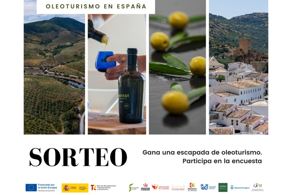 Diputación de Cáceres invita a la ciudadanía a participar en una encuesta sobre oleoturismo y optar a conseguir una escapada temática en torno a la cultura del aceite y el olivo