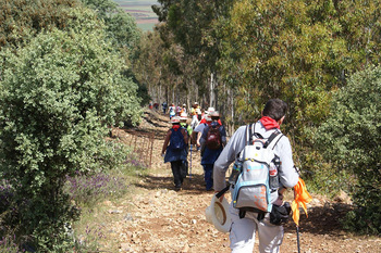 Foto ruta trashumante por la transerena itinerario cultural europeo vias de la trashumancia normal 3 2