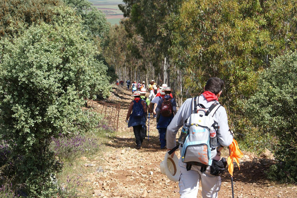 Cultura organiza una ruta senderista por la Serena para dar a conocer la trashumancia en el marco de las Jornadas Europeas del Patrimonio