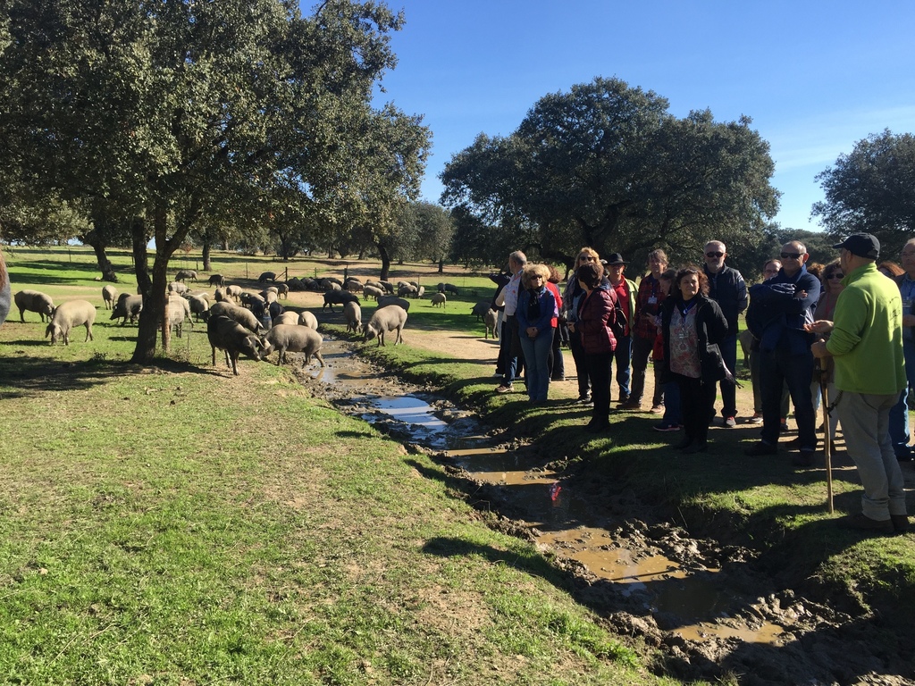 13-11-2016 Grupo Turistas de El Escorial - turismodeljamon.com - Pepe Alba