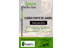 11 11 2015 curso iniciacion corte de jamon para aprohex asociacion de los profesionales de la hostel dam preview