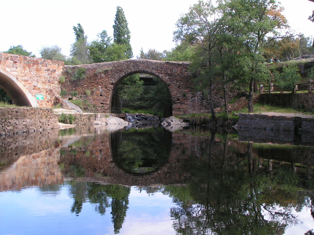 Gata puente de Mayo 024