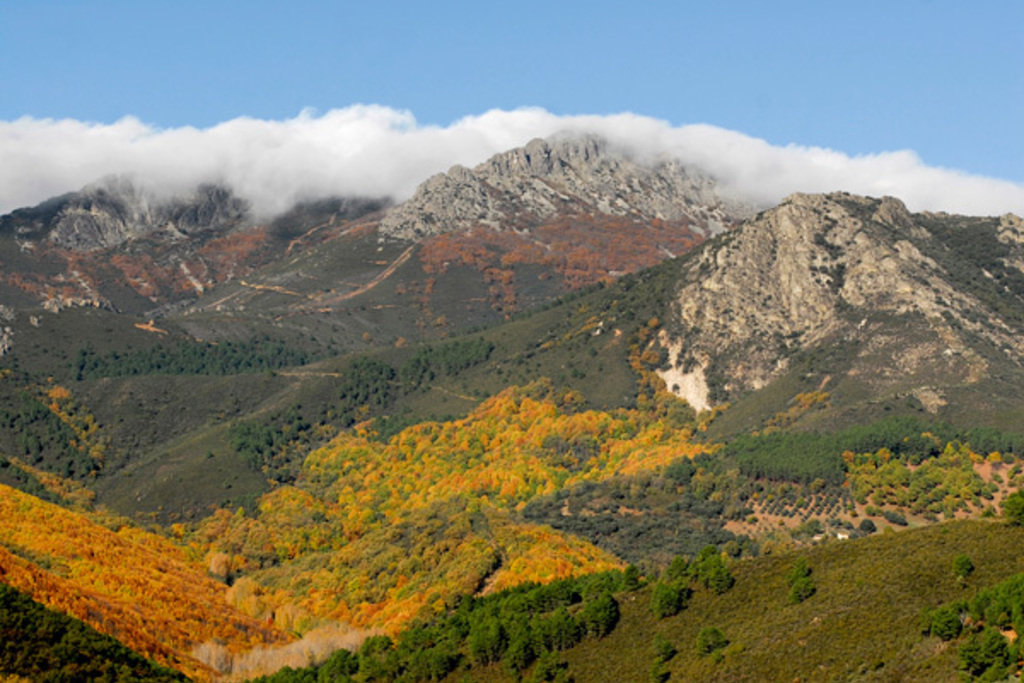 El Geoparque se prepara para convertirse en Geoparque Global Unesco Villuercas Ibores Jara