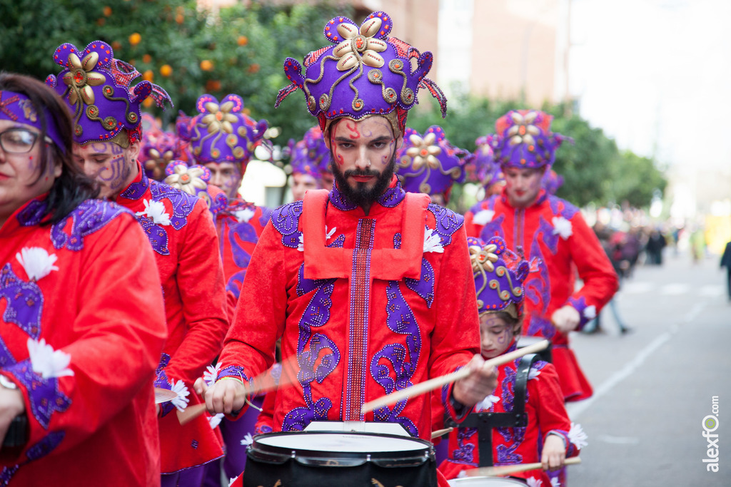 comparsa La Kochera desfile de comparsas carnaval de Badajoz 13